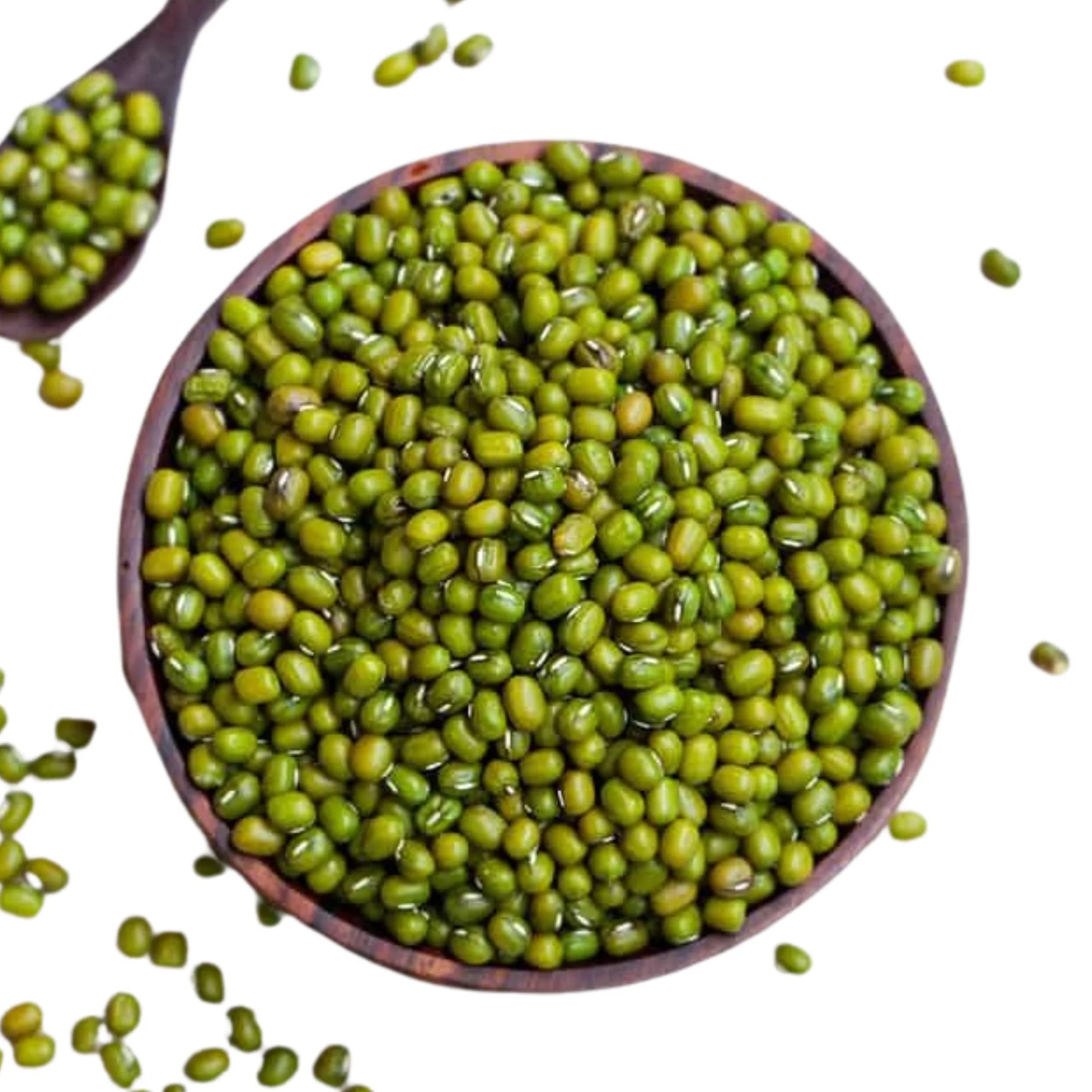 Organic Moong Beans Supplier in India | Ganpati Scientifics