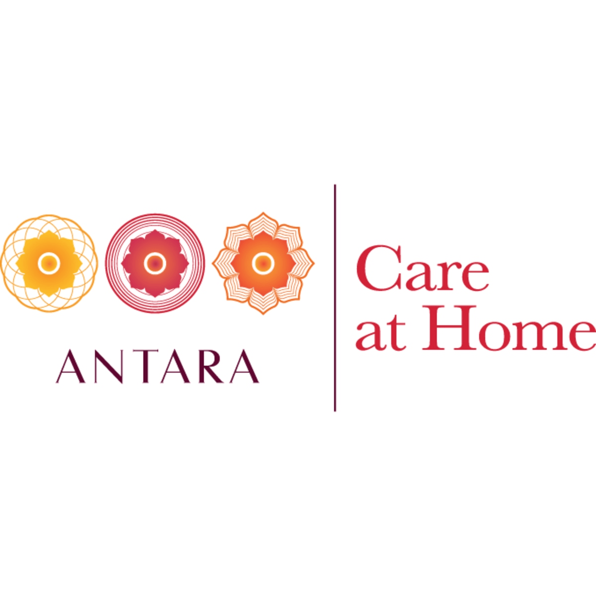  Patient Care Taker Near Me – Professional Home Support