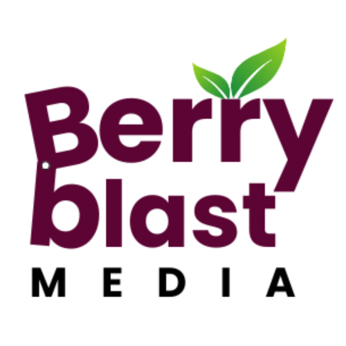 Berry Blast Media - Digital Marketing Agency in Mumbai | PPC | Social 