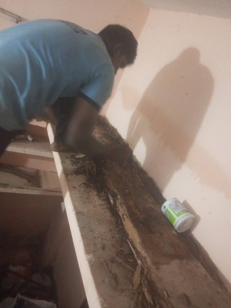 Looking for Best Termite Control In Chennai?