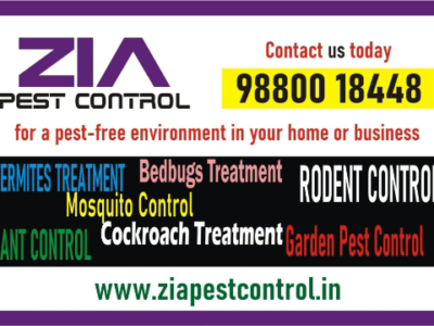 AD TITLE / HEADING General pest control | Cockroach | Bedbugs |