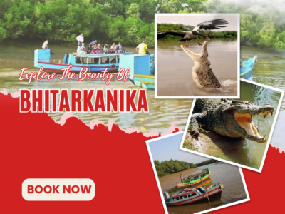 Explore Bhitarkanika Wildlife Tour with Odisha Travel Agent