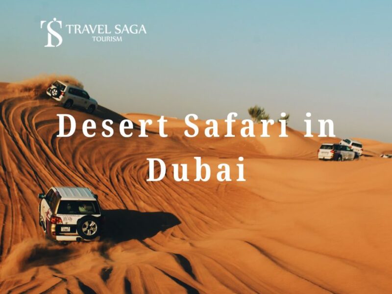 The Best Desert Safari Experiences in Dubai