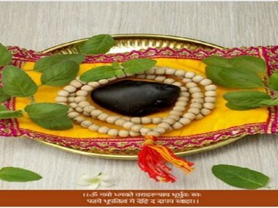 The Spiritual Significance and Ease of Acquiring Vedic Vaani’s Shaligrams Online