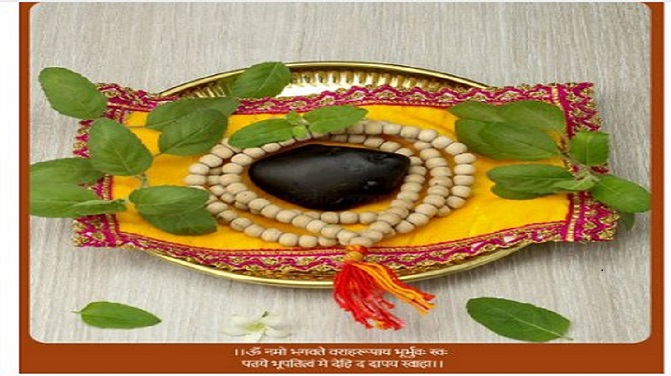 The Spiritual Significance and Ease of Acquiring Vedic Vaani’s Shaligrams Online