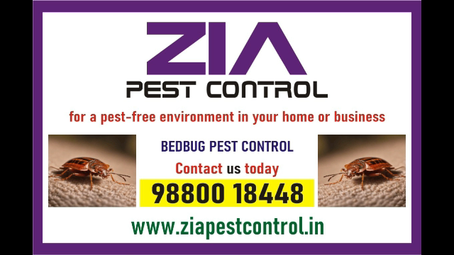 Zia Pest control | Garden pest control | Cockroach | Rodent control 1952 |