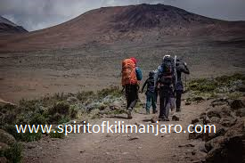 kilimanjaro climb and safari package