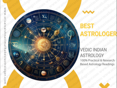 Best Astrologer in Nellore