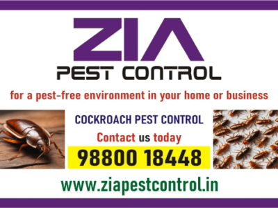 Zia Pest control Service | Bedbug Treatment Price Rs. 1500 | two service 1872