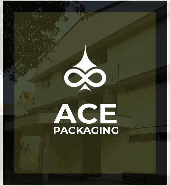 The foundation of Ace Packaging was laid to manufacture,