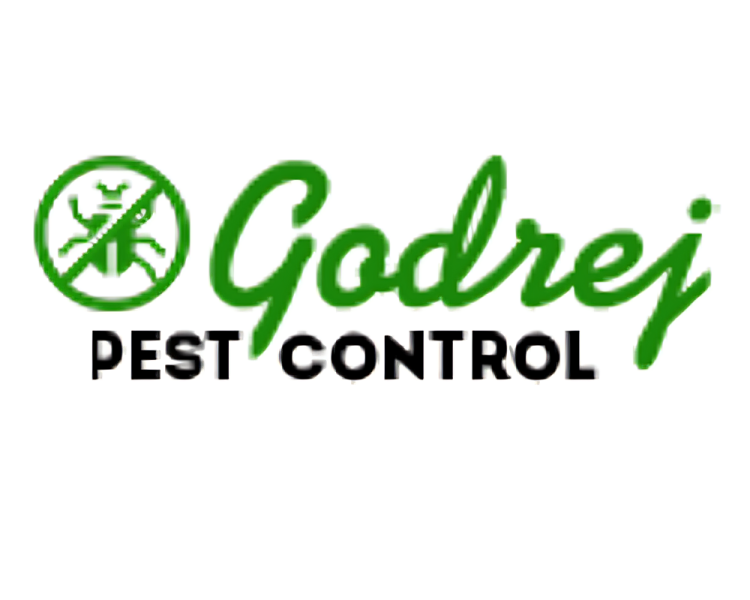 Pest Control Gurgaon