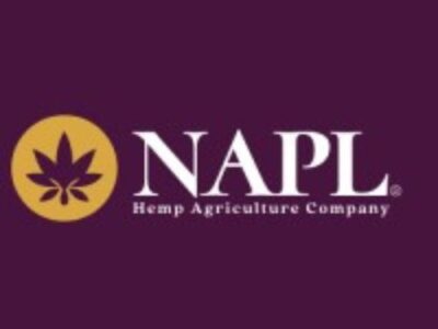 NAPL - Niche Agriculture And Pharmaceuticals Limited