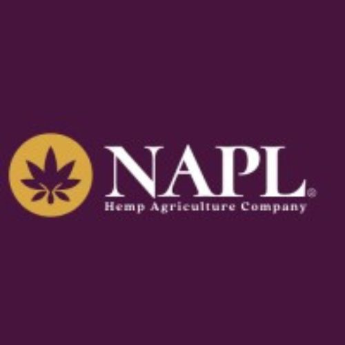 NAPL - Niche Agriculture And Pharmaceuticals Limited