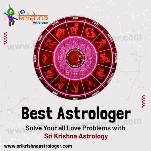 Best Astrologer in Bijapur