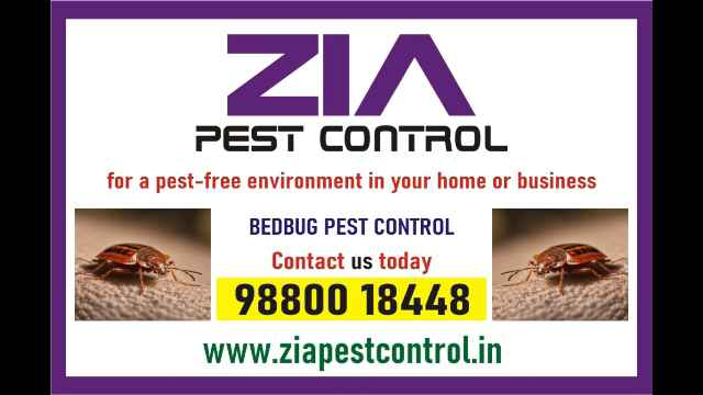 Bedbug Pest Control | Upto 35% Off | 3075 | effective