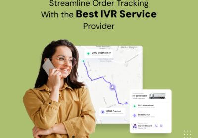 Best-IVR-Services