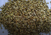 Cumin Seeds Exporter – Barter International