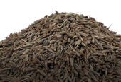 Cumin Seeds Exporter – Barter International