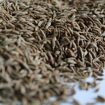 Cumin Seeds Exporter – Barter International