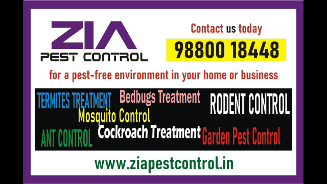 Zia Pest Control services | Cockroach Control | Bedbgu