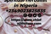 The best powerful spiritual herbalist in Nigeria