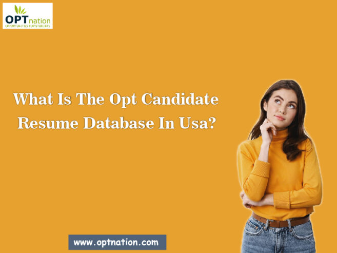 What is The OPT Candidates Resumes Database in USA?