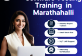 Automation Course Training in Marathahalli – Achievers