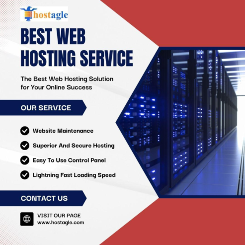 Hosting Providing services