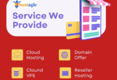 Hosting Providing services