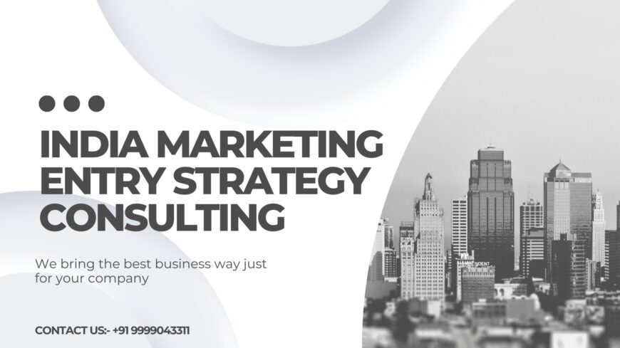 India Marketing Entry Strategy Consulting Service