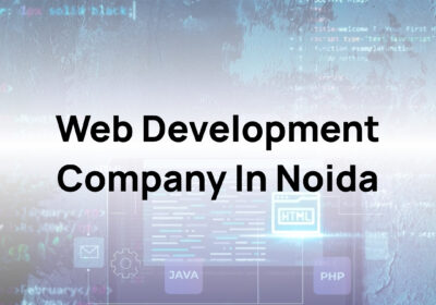 Web-development-company-in-Noida