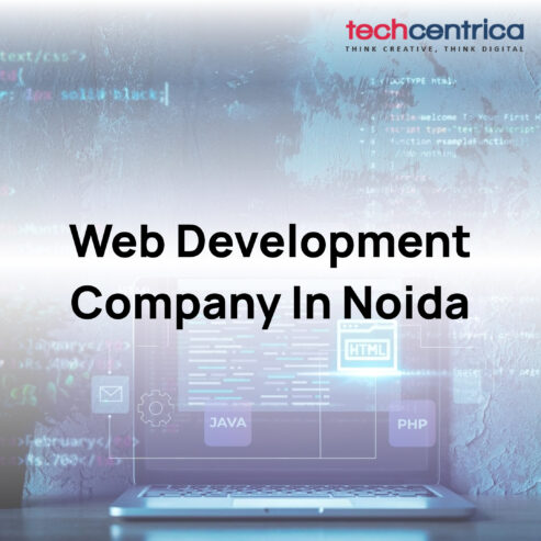 Web development company in Noida Techcentrica company