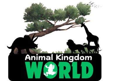 animal-kingdom-website-logo