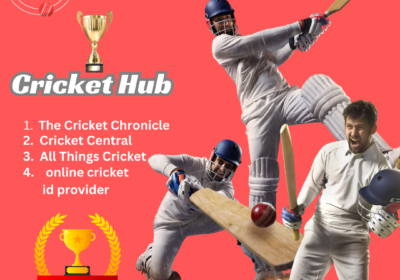 crickethub.org_.in_