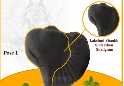 shaligram1