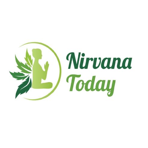 Buy Delta 8 Disposable Vape at Nirvana Today