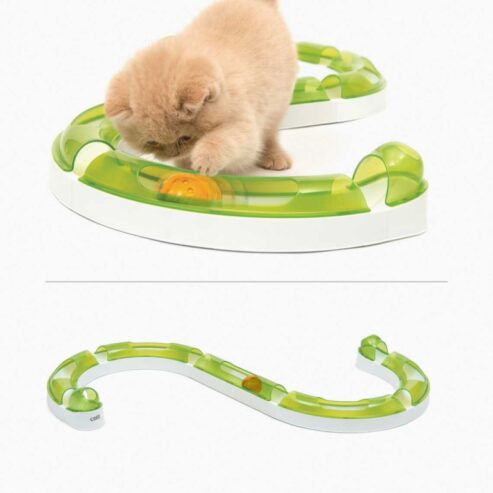 Buy cat treats, drinking fountain and toys