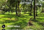 Looking to buy land in Goa?