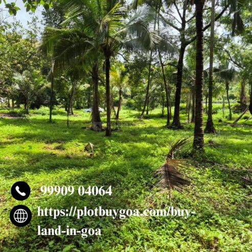 Looking to buy land in Goa?