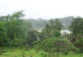 Looking to buy land in Goa?