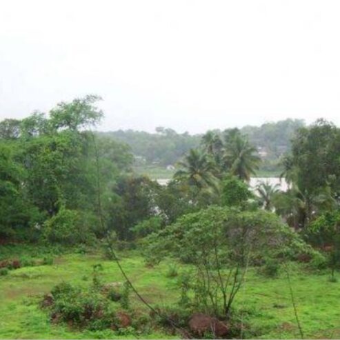 Looking to buy land in Goa?