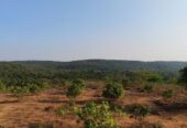 Looking to buy land in Goa?