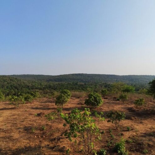 Looking to buy land in Goa?