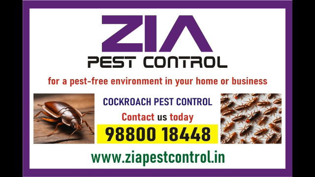 Cockroach Cleaning service | Upto 50% Off | 4013