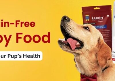 Delicious_and_Healthy_Treats_Your_Dogs_and_Cats_Will_Love_2