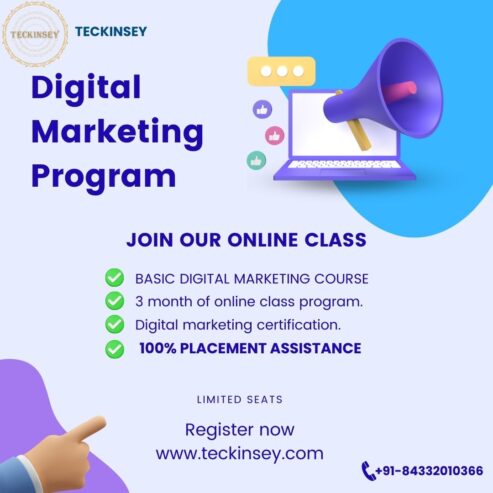 Digital Marketing course with Teckinsey