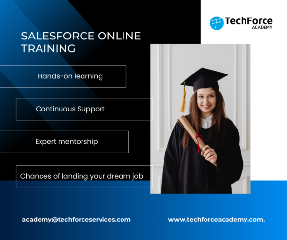 Salesforce Training For Beginners