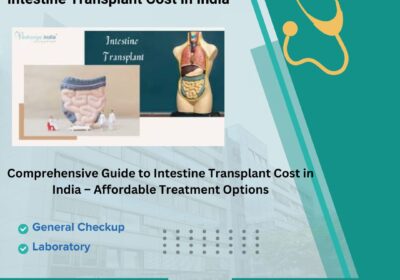 Intestine-Transplant-Cost-in-India