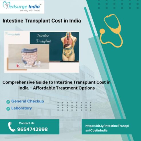 Affordable Intestine Transplant Cost in India