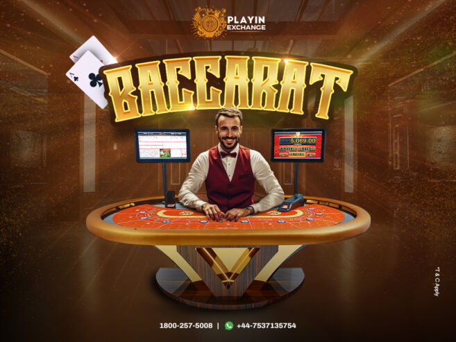 Unleash Your Luck at Playinexch247’s Live Casino Games